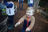 Laughter Among the Trees