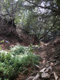 Journey Through the Wilderness