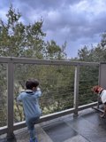 A Boy's Moment with Man's Best Friend