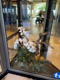 Floral Window Display in Kissimmee