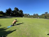 The Joy of Tennis