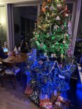 Festive Christmas Tree in San Francisco Living Room