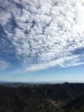 Trail Through Chaparral