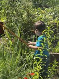 Young Gardener's Discovery