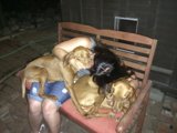Puppy love on a Bench