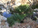 Peaceful Waterway