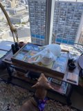 Furry Roommates on the Coffee Table