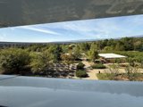 A Serene Morning at Apple Park