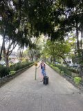 Walking Down the Path