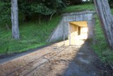 The Bunker Tunnel