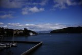 Tranquil Tiburon Harbor