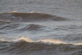 Surf's Up on the Wings of Freedom