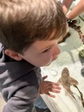 Curious Discoveries