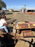 Tractor Adventures in Santa Rosa