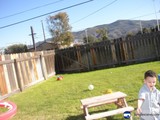 Backyard Fun