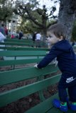 Wesley's Park Bench Adventure