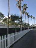 Palm Tree Paradise