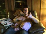 Man's Best Friend