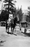 Horseback Riding Adventure