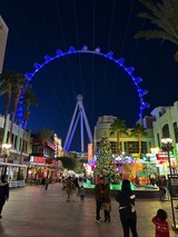 The High Roller Observation Wheel Illuminated at Night
