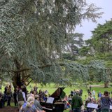 Gathering under the Tree