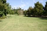 Peaceful Day in the Park
