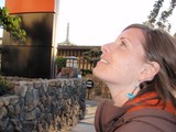 Woman Gazes Upward at San Francisco Japanese Garden