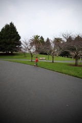 Child on Scooter in Park on Overcast Day