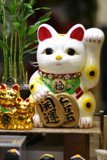 Feline Frenzy in Little Tokyo