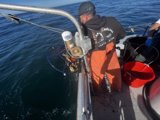 The Catch of the Day