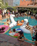 Summer Fun in LA