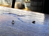 Tiny Creatures on a Wooden Table