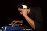 Rhythm of the Night