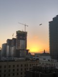 Crane Takes Flight in the Sunset Skyline