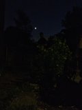 Moonlit Night