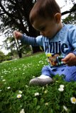 A Fun Day at San Francisco Botanical Garden
