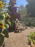 Garden Affair