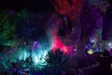 Luminous Night in Nature's Embrace