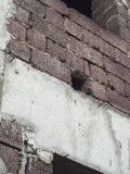 Tbilisi Brick and Concrete Detail
