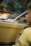 Childlike Wonder: Encounter with a Serpent