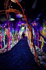 Neon Coral Forest Installation with Suspended Fish Sculptures