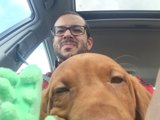 Cruising with My Best Furry Friend