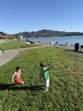 Afternoon Play at Shoreline Park