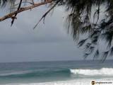 Riding the Waves