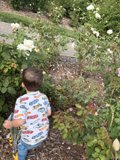 Garden Adventures at Heather Farm Park