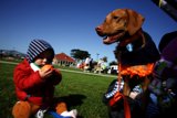 A Sunny Afternoon in Presidio Park