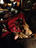 Man and his furry friend relaxing on the couch