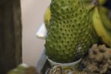 Exotic Durian Fruit from Fiji