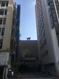City Cat on Skyscraper