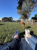 A Day in the Park